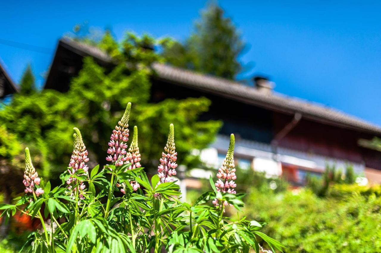فيلا House Moose'T Getaway, كْرانْيِسكا غورا المظهر الخارجي الصورة