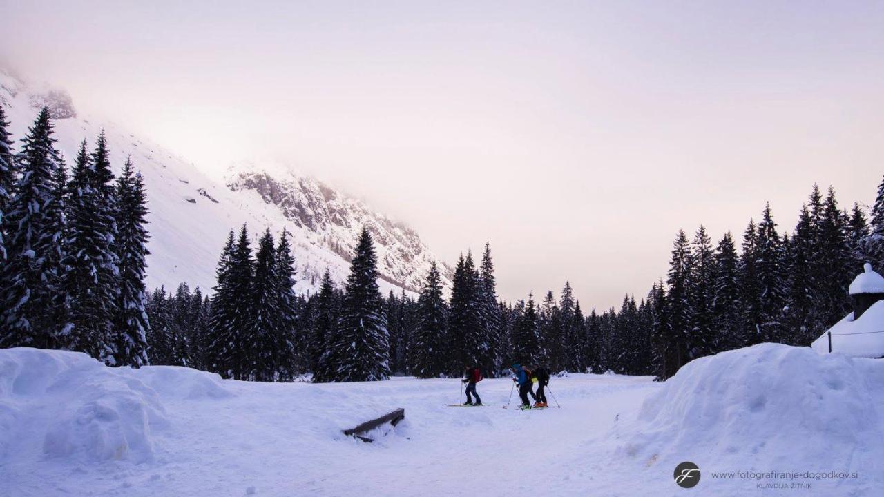 فيلا House Moose'T Getaway, كْرانْيِسكا غورا المظهر الخارجي الصورة