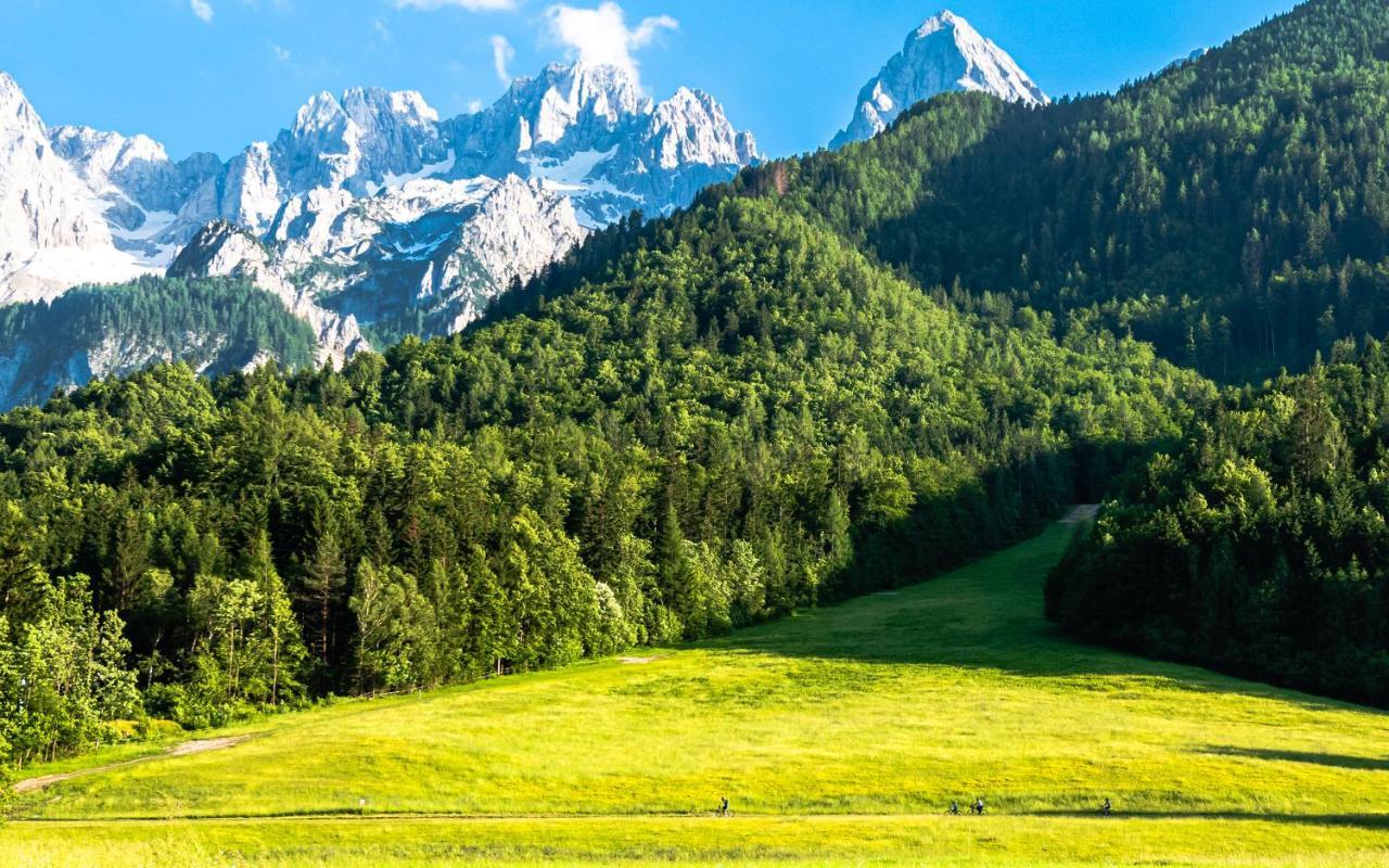 فيلا House Moose'T Getaway, كْرانْيِسكا غورا المظهر الخارجي الصورة