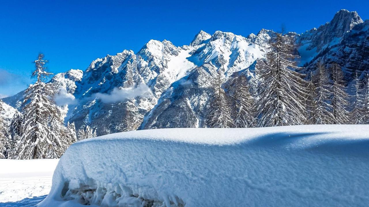 فيلا House Moose'T Getaway, كْرانْيِسكا غورا المظهر الخارجي الصورة