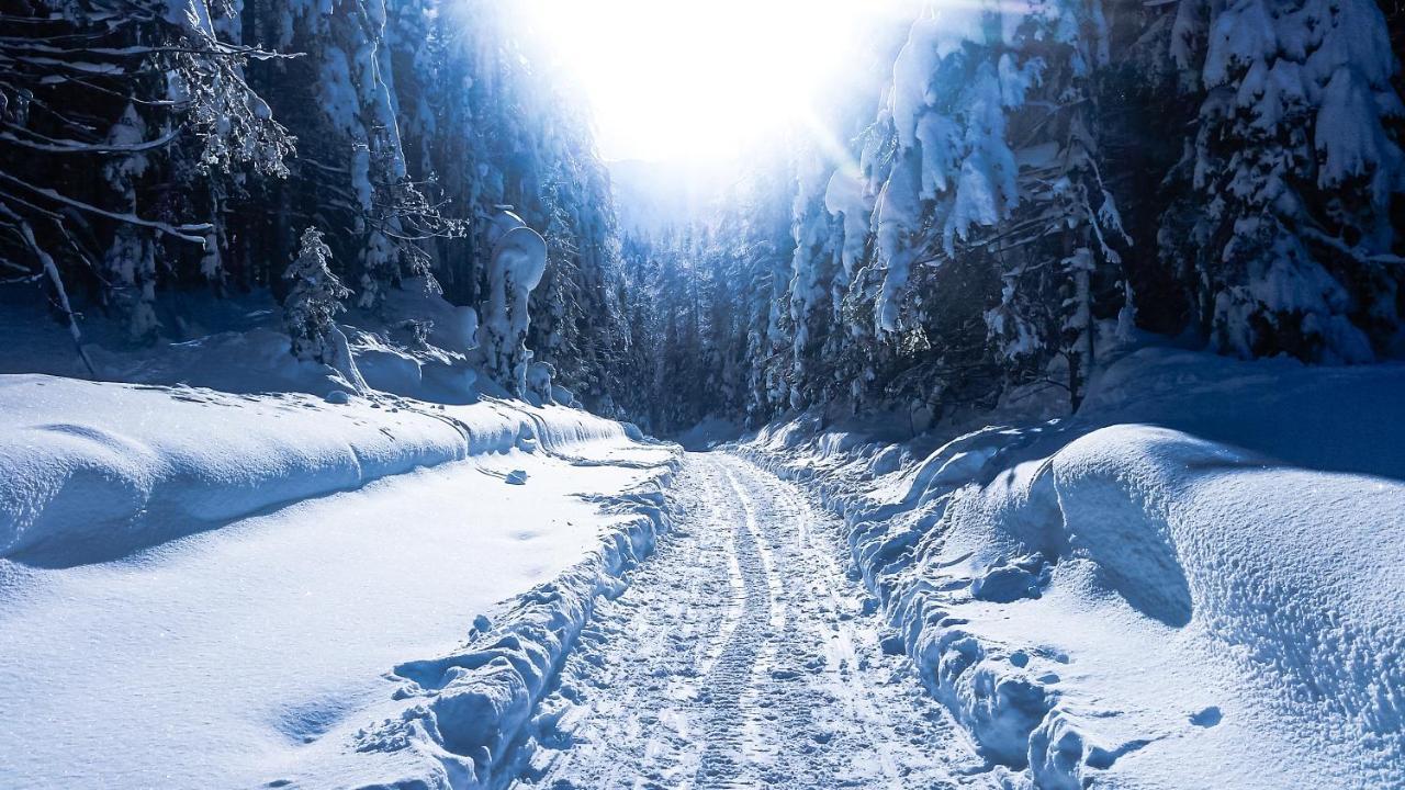 فيلا House Moose'T Getaway, كْرانْيِسكا غورا المظهر الخارجي الصورة